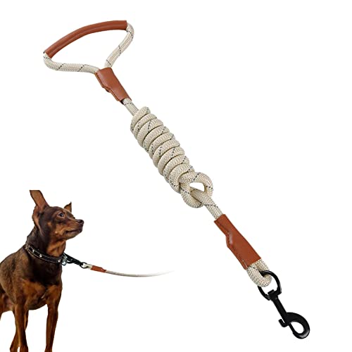 Lange Hundeleine, strapazierfähig, reflektierend, verstellbar, Traktionsseil | Starke schützende Lederleine mit bequemem Griff für mittelgroße, große Hunde von QARIDO