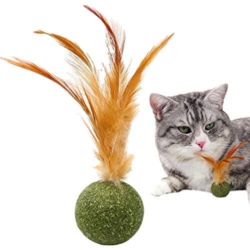 QARIDO Katzenminze-Bälle – Katzenfedern, essbarer Ball, interaktives Katzenspielzeug, Leckspielzeug für Innenbereich, Katzenspielzeug, Zahnreinigung, lindert schlechte Laune von QARIDO