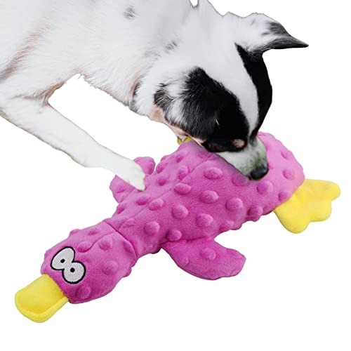 QARIDO Quietscheente Hundespielzeug | Quietschende Spielzeuge für Welpen,Chewers Small Medium Large Breed, quietschendes Haustierspielzeug, Plüsch-Welpen-Kauspielzeug zum Zahnen, Ente, interaktives von QARIDO