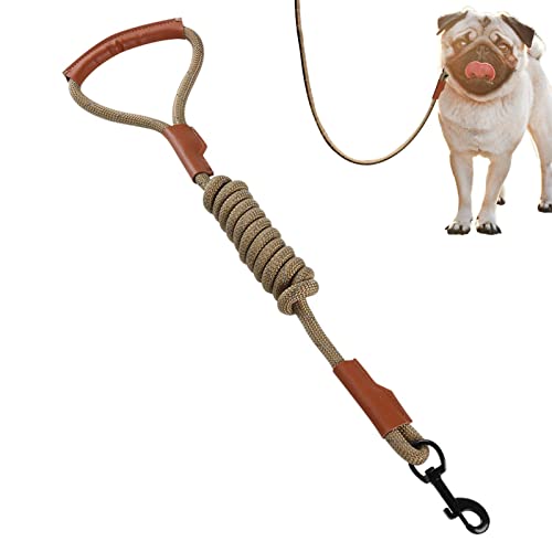 Qarido Hundeleine – Traktionsseil verstellbare Hundeleine für das Training, Leder-Spaziergang mit bequemem Griff, schützende Hundeleine zum Spazierengehen, Camping, große und mittelgroße Hunde von QARIDO