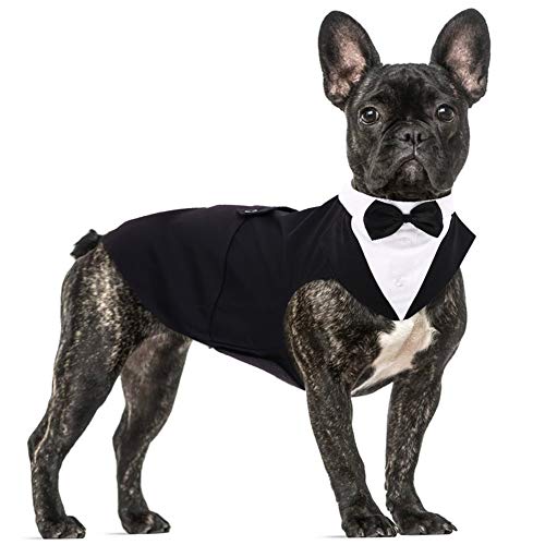 Dog Formal Tuxedo Suit for Medium Large Dogs，Dog Tuxedo Costume Wedding Party Outfit with Detachable Collar，Elegant Dog Apparel Bowtie Shirt and Bandana Set for Dress-up Cosplay Holiday Wear von QBLEEV