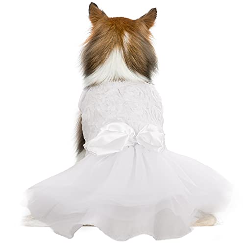 Hundekleid, Tutu-Rock für kleine und mittelgroße Hunde, Welpen, süßer Hund, weiß, Prinzessinnen-Kleid mit Schleife und Rosen-Dekor, Haustier-Spitzenkostüm, Sommerbekleidung, Party, Urlaub (XS) von QBLEEV