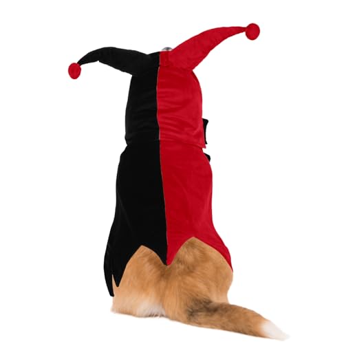 QBLEEV Hunde-Halloween-Kostüm, lustiges Party-Zirkus-inspiriertes Cosplay mit Kapuze und Umhang, warmer Winterpullover für kaltes Wetter, verstellbarer Haustier-Outfit, Kapuzenpullover für kleine von QBLEEV