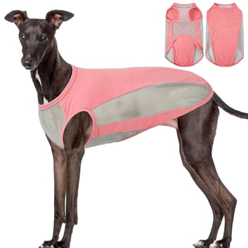 QBLEEV Hunde-T-Shirt, kühlende Weste für große Hunde, ärmellos, Sonnenschutz, Haustierkleidung, schnell trocknend, weich, dehnbar, Sommer-Outfit, atmungsaktiv, große Haustiere, Tanktop für Jungen und QBLEEV Hunde-T-Shirt, kühlende Weste für große Hunde, ärmellos, Sonnenschutz, Haustierkleidung, schnell trocknend, weich, dehnbar, Sommer-Outfit, atmungsaktiv, große Haustiere, Tanktop für Jungen und von QBLEEV