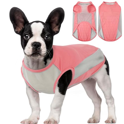 QBLEEV Hunde-T-Shirt, kühlende Weste für mittelgroße Hunde, Mädchen, Jungen, Sonnenschutzkleidung, schnell trocknend, weich, dehnbar, Frenchie-Shirts, Hündinnen, Rüden, Sommerkleidung QBLEEV Hunde-T-Shirt, kühlende Weste für mittelgroße Hunde, Mädchen, Jungen, Sonnenschutzkleidung, schnell trocknend, weich, dehnbar, Frenchie-Shirts, Hündinnen, Rüden, Sommerkleidung von QBLEEV