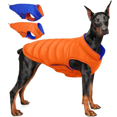 QBLEEV Hunde-Wintermantel QBLEEV Hunde-Wintermantel von QBLEEV