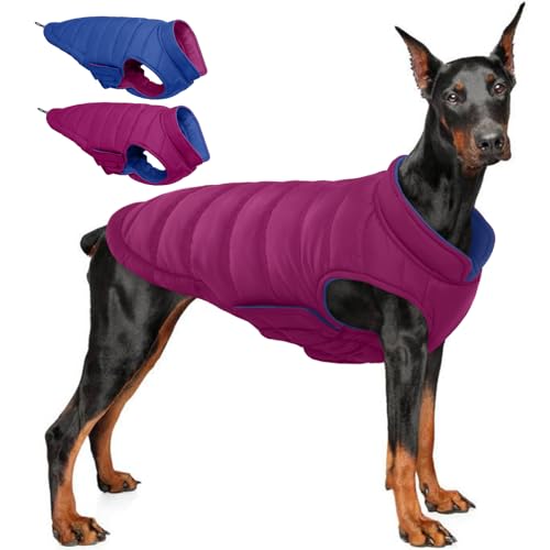 QBLEEV Hunde-Wintermantel QBLEEV Hunde-Wintermantel von QBLEEV