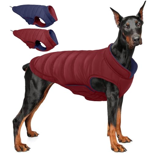 QBLEEV Hunde-Wintermantel QBLEEV Hunde-Wintermantel von QBLEEV