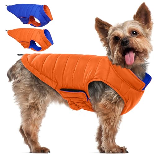 QBLEEV Hunde-Wintermantel von QBLEEV