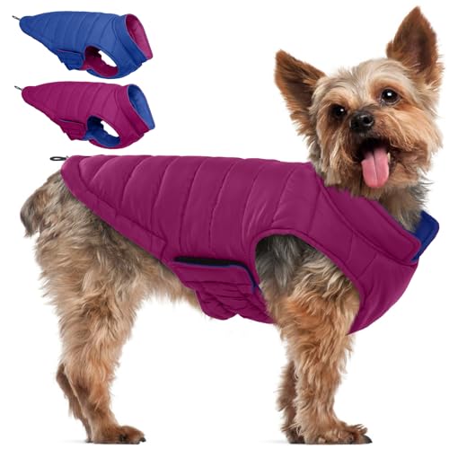QBLEEV Hunde-Wintermantel von QBLEEV