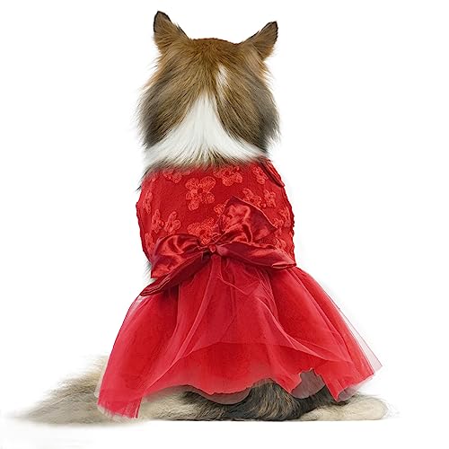 QBLEEV Hundekleid, Hochzeitskleid für kleine Hunde, Bowknot Hund Hochzeit Kleidung Rot Hund Kleid Haustier Hund Braut Kostüm Spitze Tutu Rock Halloween Hund Prinzessin Kleid Party Welpen Bekleidung von QBLEEV