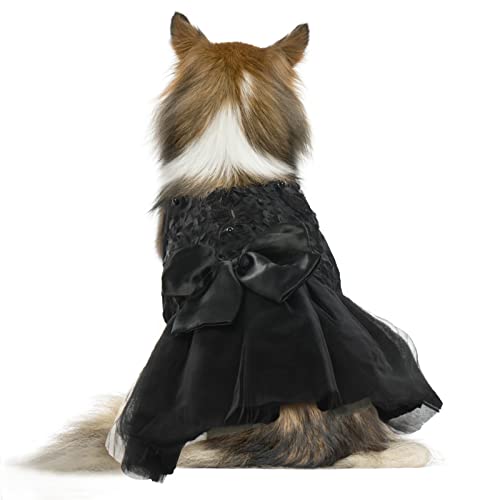 QBLEEV Hundekleid, Hochzeitskleid für kleine Hunde, Schleife, Hochzeitskleidung, Haustierkostüm, formelles Kleid, Spitzenkleid, Tutu-Rock, Weihnachten, Hund, Prinzessinnenkleid, Welpen, Hund, von QBLEEV