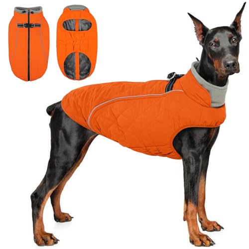QBLEEV Hundemantel für große Hunde, Winterjacke für große Hunde, XXL, wasserdicht, Kaltwetterweste mit Reißverschluss und reflektierenden, winddichten, integrierten Geschirr, warmes Fleece QBLEEV Hundemantel für große Hunde, Winterjacke für große Hunde, XXL, wasserdicht, Kaltwetterweste mit Reißverschluss und reflektierenden, winddichten, integrierten Geschirr, warmes Fleece von QBLEEV
