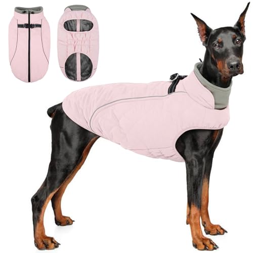 QBLEEV Hundemantel für große Hunde, Winterjacke für große Hunde, XXL, wasserdicht, Kaltwetterweste mit Reißverschluss und reflektierenden, winddichten, integrierten Geschirr, warmes Fleece QBLEEV Hundemantel für große Hunde, Winterjacke für große Hunde, XXL, wasserdicht, Kaltwetterweste mit Reißverschluss und reflektierenden, winddichten, integrierten Geschirr, warmes Fleece von QBLEEV
