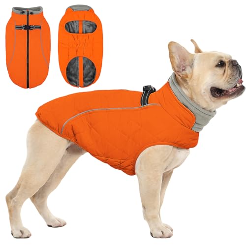QBLEEV Hundemantel für mittelgroße Hunde, wasserdichter Hunde-Wintermantel mit integriertem Geschirr und D-Ring, Reißverschluss, Haustier-Kaltwettermäntel mit Fleece gefüttert, warme QBLEEV Hundemantel für mittelgroße Hunde, wasserdichter Hunde-Wintermantel mit integriertem Geschirr und D-Ring, Reißverschluss, Haustier-Kaltwettermäntel mit Fleece gefüttert, warme von QBLEEV