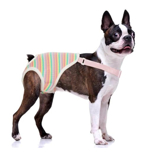 QBLEEV Hundewindeln für Damen, waschbar, Sanitärhöschen mit verstellbarem Hosenträger, wiederverwendbare Hunde-Periodenhöschen, Haustierunterwäsche, Windel-Jumpsuits für männliche Hunde in Hitze, QBLEEV Hundewindeln für Damen, waschbar, Sanitärhöschen mit verstellbarem Hosenträger, wiederverwendbare Hunde-Periodenhöschen, Haustierunterwäsche, Windel-Jumpsuits für männliche Hunde in Hitze, von QBLEEV
