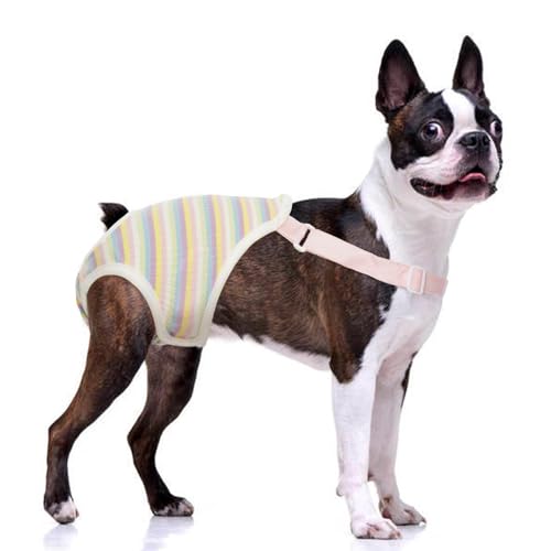 QBLEEV Hundewindeln für Damen, waschbar, Sanitärhöschen mit verstellbarem Hosenträger, wiederverwendbare Hunde-Periodenhöschen, Haustierunterwäsche, Windel-Jumpsuits für männliche Hunde in Hitze, QBLEEV Hundewindeln für Damen, waschbar, Sanitärhöschen mit verstellbarem Hosenträger, wiederverwendbare Hunde-Periodenhöschen, Haustierunterwäsche, Windel-Jumpsuits für männliche Hunde in Hitze, von QBLEEV