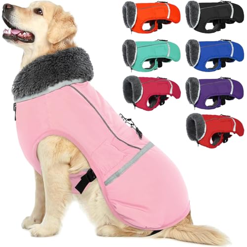 QBLEEV Hundewintermantel, warm, reflektierende Hundejacke, Rollkragen, wasserdicht, für kaltes Wetter, dickes Fleecefutter Hund-, Haustierbekleidung, Weste, Schneeanzug für alle Hundegrößen, Größe S QBLEEV Hundewintermantel, warm, reflektierende Hundejacke, Rollkragen, wasserdicht, für kaltes Wetter, dickes Fleecefutter Hund-, Haustierbekleidung, Weste, Schneeanzug für alle Hundegrößen, Größe S von QBLEEV
