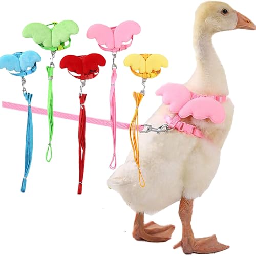 QBLEEV Pet Cole Hundegeschirr für draußen, verstellbares Outdoor-Trainingsseil für Gans, Huhn, Henne QBLEEV Pet Cole Hundegeschirr für draußen, verstellbares Outdoor-Trainingsseil für Gans, Huhn, Henne von QBLEEV
