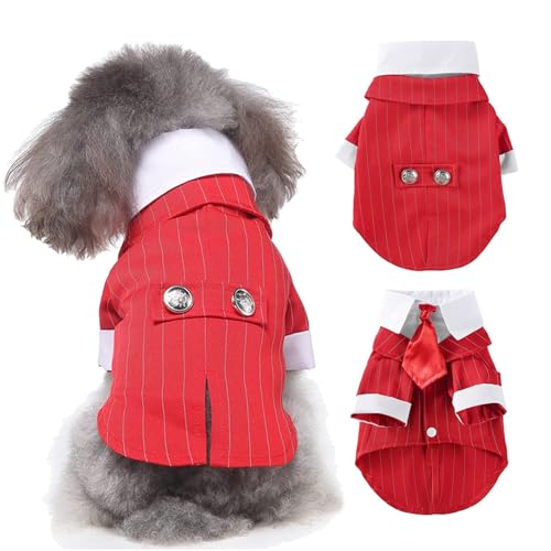 QBLEEV Schwarzes Hunde-Anzugkostüm, Haustier-Halloween-Kostüm mit Fliege, formelles Boston-Smoking-Shirt, dunkle Braut-Kostüm, Prinz-Hochzeitskleidung für kleine, mittelgroße und große Welpen QBLEEV Schwarzes Hunde-Anzugkostüm, Haustier-Halloween-Kostüm mit Fliege, formelles Boston-Smoking-Shirt, dunkle Braut-Kostüm, Prinz-Hochzeitskleidung für kleine, mittelgroße und große Welpen von QBLEEV
