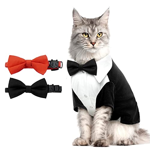 QBLEEV Sphynx-Katzenanzug für Katzen, Smokinganzug für Katzen mit zwei Fliegen, Smokingoutfit für Geburtstag, Fotoshooting, formelle Einteiler, Hochzeitskostüme für Kätzchen, männliche Katzenkleidung QBLEEV Sphynx-Katzenanzug für Katzen, Smokinganzug für Katzen mit zwei Fliegen, Smokingoutfit für Geburtstag, Fotoshooting, formelle Einteiler, Hochzeitskostüme für Kätzchen, männliche Katzenkleidung von QBLEEV
