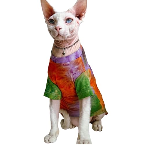 QBLEEV Sphynx Katzenkleidung, haarlose Katzen, Regenbogenfarben, T-Shirt für Frühling, Sommer, Herbst, atmungsaktive Katzenbekleidung, Weste, Shirts für Sphynx, Cornish Rex, Devon Rex, Peterbald QBLEEV Sphynx Katzenkleidung, haarlose Katzen, Regenbogenfarben, T-Shirt für Frühling, Sommer, Herbst, atmungsaktive Katzenbekleidung, Weste, Shirts für Sphynx, Cornish Rex, Devon Rex, Peterbald von QBLEEV