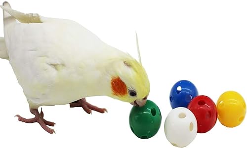 QBLEEV Vogelglocken-Ball-Sets zum Kauen, Spielen, Training, buntes Spielzeug für Papageienkäfig, für Nymphensittiche, Sittiche, Wellensittiche, Welpen, zufällige Farbe von QBLEEV