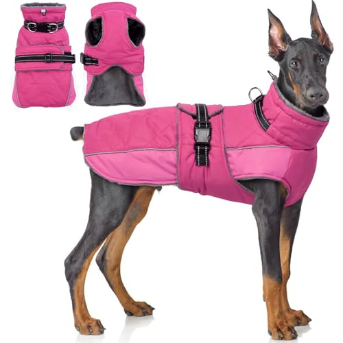 QBLEEV Warme Hundejacke - Reflektierender, verstellbarer Wintermantel mit Rollkragen für kaltes Wetter, wasserdichter Fleece-Schneeanzug für kleine, mittelgroße und große Hunde QBLEEV Warme Hundejacke - Reflektierender, verstellbarer Wintermantel mit Rollkragen für kaltes Wetter, wasserdichter Fleece-Schneeanzug für kleine, mittelgroße und große Hunde von QBLEEV