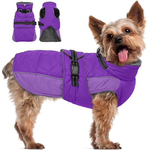 QBLEEV Warme Hundejacke - Reflektierender, verstellbarer Wintermantel mit Rollkragen für kaltes Wetter, wasserdichter Fleece-Schneeanzug für kleine, mittelgroße und große Hunde QBLEEV Warme Hundejacke - Reflektierender, verstellbarer Wintermantel mit Rollkragen für kaltes Wetter, wasserdichter Fleece-Schneeanzug für kleine, mittelgroße und große Hunde von QBLEEV
