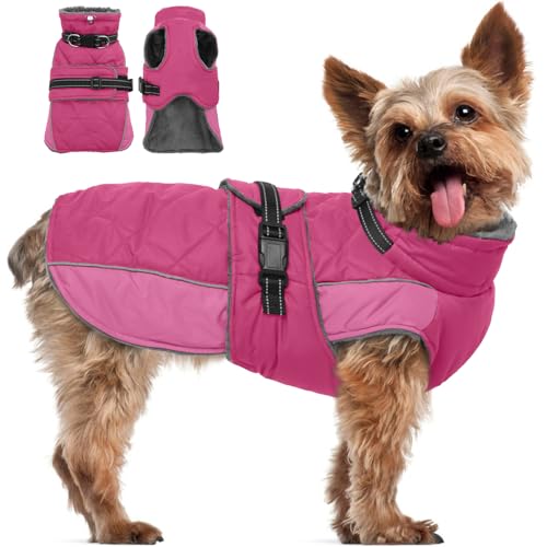 QBLEEV Warme Hundejacke - Reflektierender, verstellbarer Wintermantel mit Rollkragen für kaltes Wetter, wasserdichter Fleece-Schneeanzug für kleine, mittelgroße und große Hunde QBLEEV Warme Hundejacke - Reflektierender, verstellbarer Wintermantel mit Rollkragen für kaltes Wetter, wasserdichter Fleece-Schneeanzug für kleine, mittelgroße und große Hunde von QBLEEV
