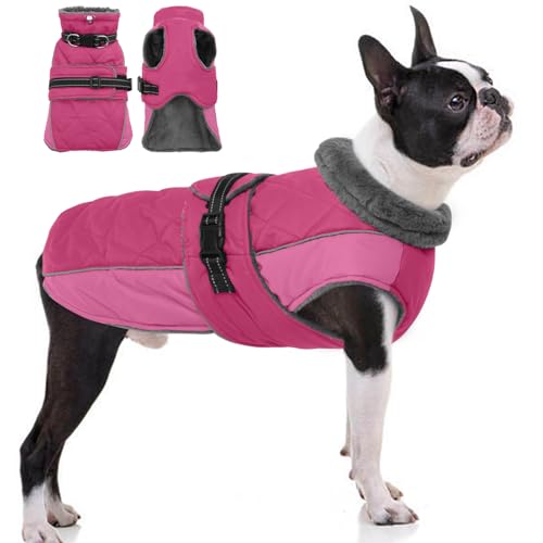 QBLEEV Warme Hundejacke - Reflektierender, verstellbarer Wintermantel mit Rollkragen für kaltes Wetter, wasserdichter Fleece-Schneeanzug für kleine, mittelgroße und große Hunde QBLEEV Warme Hundejacke - Reflektierender, verstellbarer Wintermantel mit Rollkragen für kaltes Wetter, wasserdichter Fleece-Schneeanzug für kleine, mittelgroße und große Hunde von QBLEEV