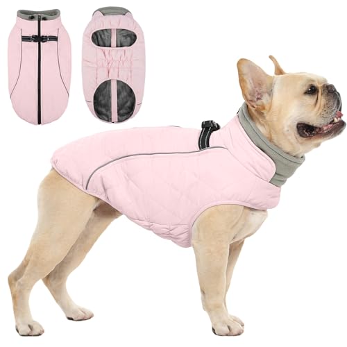 QBLEEV Warmer Hundemantel für mittelgroße Hunde, wasserdichte Hunde-Winterjacke mit integriertem Geschirr und reflektierendem, schneefestem, warmem Mantel mit Reißverschluss, Nackenkordelzug und QBLEEV Warmer Hundemantel für mittelgroße Hunde, wasserdichte Hunde-Winterjacke mit integriertem Geschirr und reflektierendem, schneefestem, warmem Mantel mit Reißverschluss, Nackenkordelzug und von QBLEEV