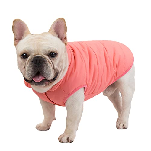 QCBH Haustierkleidung Hundekleidung Haustiermantel Fleecefutter Hundemantel Hund Winter Warmer Mantel geeignet für Chihuahuas und Corgi Bulldogs von QCBH