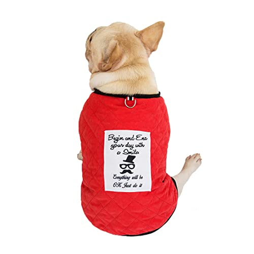 QCBH Winterkleidungsjacke, Winddichte Hundejackenkleidung, Kleidungsjacke mit D-Ring, weiche und warme Winterkleidung geeignet für kleine Hunde von QCBH