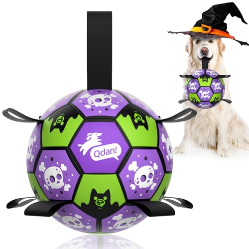 QDAN Halloween-Hundespielzeug, Bälle, Fußball mit Riemen für Hunde, Geburtstagsgeschenk, Welpenspielzeug für kleine und mittelgroße Rassen (20,3 cm) von QDAN