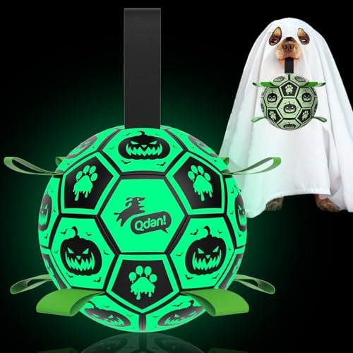 QDAN Halloween-Hundespielzeug, leuchtet im Dunkeln, Hundeball mit Riemen, Fußball für Hunde, Outdoor-Hundespielzeug, Haustier-Geburtstagsspielzeug, Welpenzubehör für mittelgroße bis große (20,3 cm) von QDAN