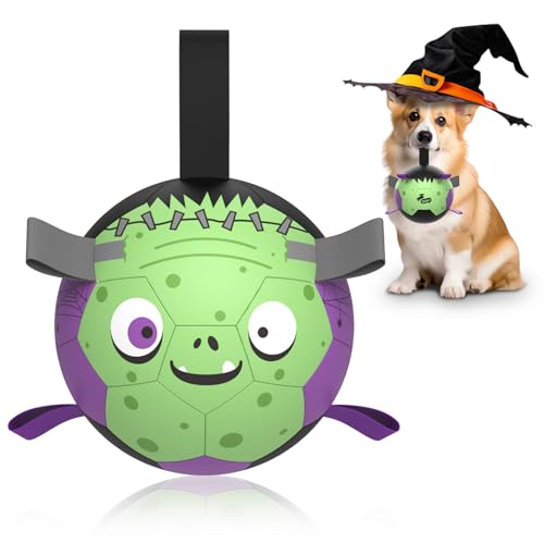 QDAN Halloween-Hundespielzeug-Fußball: Premium-Hunde-Fußbälle mit Riemen, Outdoor-Hütebälle, Spielzeug für kleine, mittelgroße Hunde, Welpen, Haustier-Geburtstagsgeschenke, 15,2 cm, Violett-Grün QDAN Halloween-Hundespielzeug-Fußball: Premium-Hunde-Fußbälle mit Riemen, Outdoor-Hütebälle, Spielzeug für kleine, mittelgroße Hunde, Welpen, Haustier-Geburtstagsgeschenke, 15,2 cm, Violett-Grün von QDAN