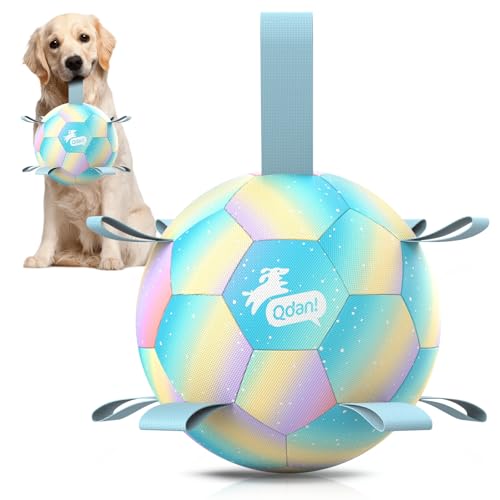 QDAN Hundebälle: Hunde-Fußball mit Riemen, Herding Ball für Hunde, interaktives Spielzeug für große Hunde, Haustier-Geburtstagsgeschenke, Farbverlauf, Blau (20,3 cm) von QDAN