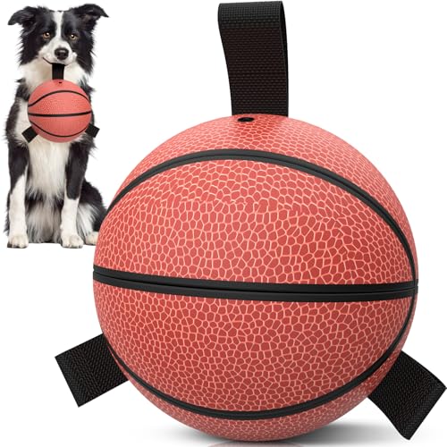 QDAN Hundeball, Basketballspielzeug, Bälle mit Riemen, Wasserspielzeug, Poolspielzeug für kleine und mittelgroße Hunde (15,2 cm) von QDAN