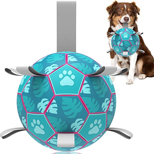 QDAN Hundespielzeug, Fußball, interaktives Hundespielzeug für Tauziehen, Welpen-Geburtstagsgeschenke, Hundespielzeug, langlebige Hundebälle für kleine und mittelgroße Hunde, Seeblau (20.3 cm) von QDAN