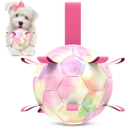 QDAN Hundespielzeug, Fußball mit Riemen, Welpenbälle für kleine und mittelgroße Hunde, Wasserspielzeug, Poolspielzeug, Welpenspielzeug, Geburtstagsgeschenke, Regenbogen (15,2 cm) von QDAN