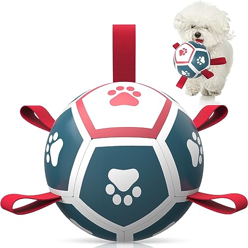 QDAN Hundespielzeug, Fußball mit Riemen, interaktives Hundespielzeug für den Außenbereich, für Tauziehen, Welpengeburtstagsgeschenke, Hundespielzeug, Wasserspielzeug, langlebige Hundebälle für kleine von QDAN