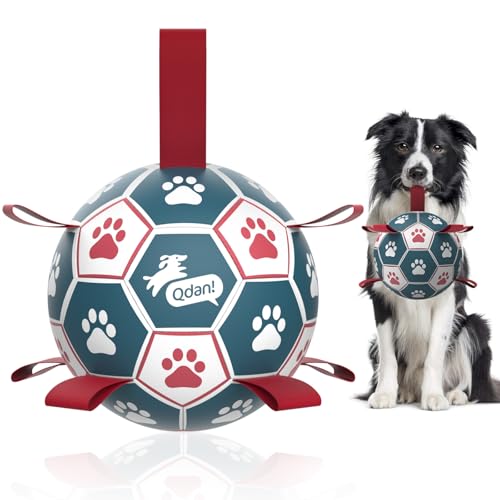 QDAN Hundespielzeug, Fußballball, interaktives Hundespielzeug zum Tauziehen, Hundespielzeug, Wasserspielzeug, langlebige Hundebälle für kleine und mittelgroße Hunde, blau und rot (15,2 cm) von QDAN