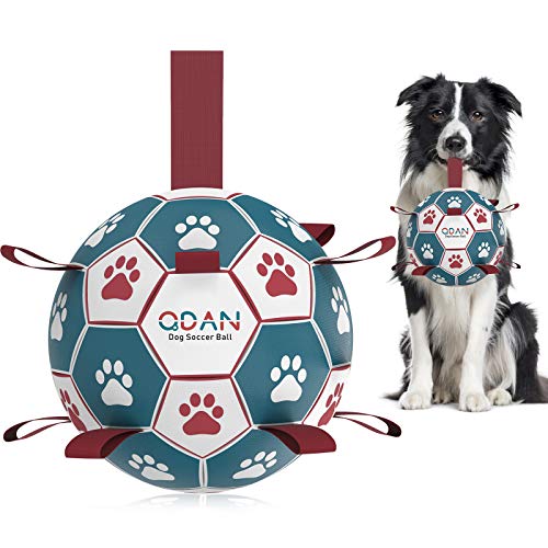 QDAN Hundespielzeug, Fußballball, interaktives Hundespielzeug zum Tauziehen, Hundespielzeug, Wasserspielzeug, langlebige Hundebälle für kleine und mittelgroße Hunde, blau und rot (15,2 cm) von QDAN