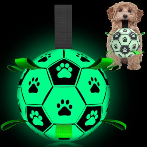QDAN Hundespielzeug, im Dunkeln leuchtend, interaktives Hundespielzeug, Welpengeburtstagsgeschenke, Wasserspielzeug, Indoor/Outdoor, leuchtende Hundebälle für kleine und mittelgroße Hunde (15,2 cm, von QDAN