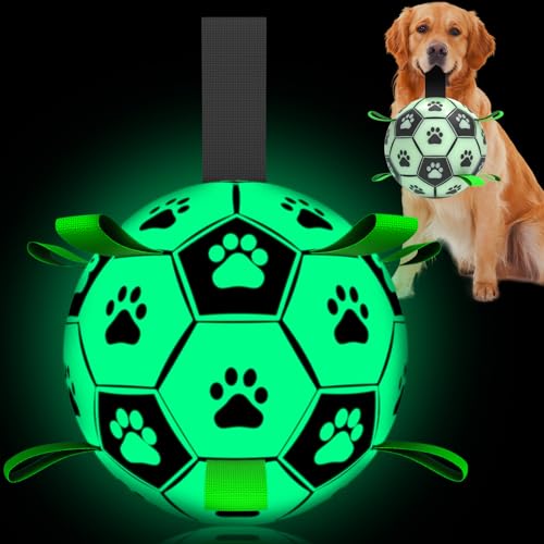 QDAN Hundespielzeug, leuchtet im Dunkeln, Fußball mit Haltebändern, interaktives Hundespielzeug, Welpen, beleuchtete Hundebälle für kleine und mittelgroße Hunde (20.3 cm, Größe 3) von QDAN