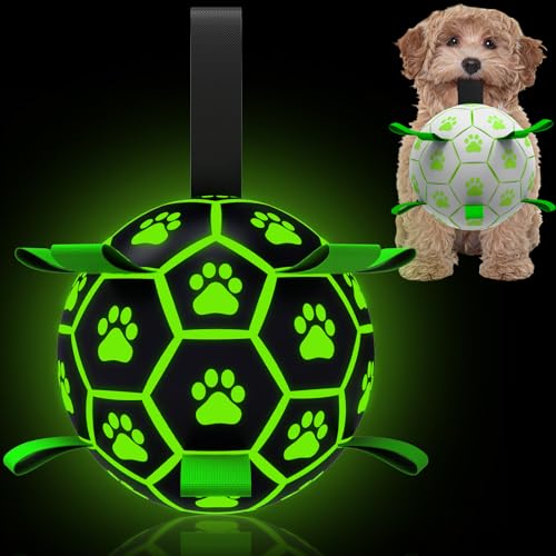 QDAN Hundespielzeug, leuchtet im Dunkeln, Fußball mit Riemen, interaktives Hundespielzeug, Welpen, Hundespielzeug, beleuchtete Hundebälle für kleine und mittelgroße Hunde (15.2 cm) von QDAN