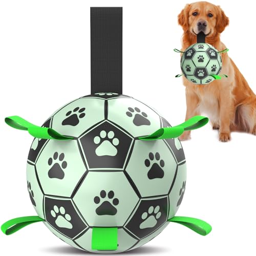 QDAN Hundespielzeug, leuchtet im Dunkeln, leuchtender Fußball für Hunde, Outdoor-Hundespielzeug, Wasserspielzeug, Welpen-Geburtstagsgeschenke für mittelgroße und große Hunde (20,3 cm) von QDAN