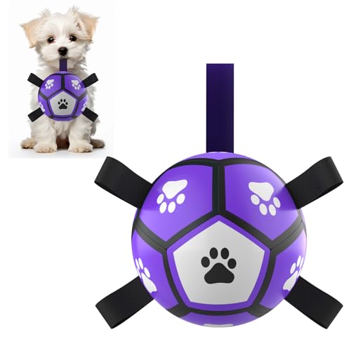 QDAN Hundespielzeug-Fußbälle: Interaktives Hundespielzeug zum Tauziehen, Hundebälle mit Riemen, Welpengeburtstagsgeschenke, langlebiger Welpenball für kleine (12,7 cm) von QDAN