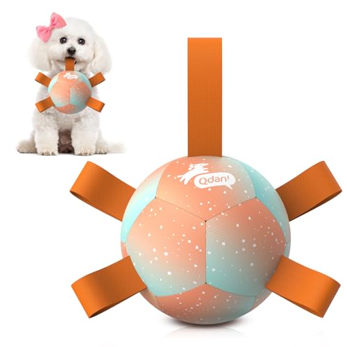 QDAN Kleine Hundebälle: Hunde-Fußball mit Riemen, Premium-Hundespielzeug, Bälle, Welpen, Outdoor-Hundespielzeug, Haustier-Trainingsball, Geburtstagsgeschenke für kleine Hunde, Regenbogen-Orange, 12,7 QDAN Kleine Hundebälle: Hunde-Fußball mit Riemen, Premium-Hundespielzeug, Bälle, Welpen, Outdoor-Hundespielzeug, Haustier-Trainingsball, Geburtstagsgeschenke für kleine Hunde, Regenbogen-Orange, 12,7 von QDAN